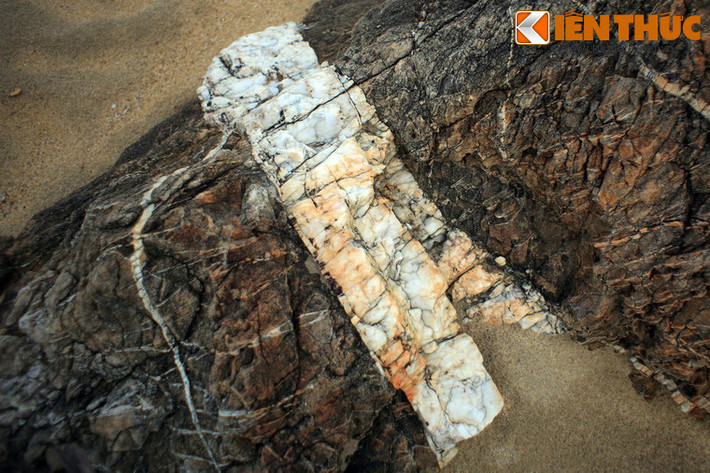 Đây thực sự là những "tác phẩm nghệ thuật" đặc sắc và hiếm có trong thiên nhiên Việt Nam.