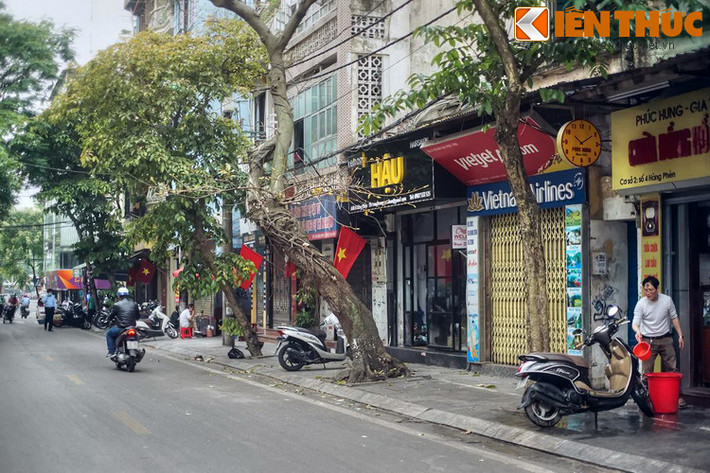 Trên phương diện hóa học, phèn là hợp chất kali sulfat nhôm ngậm nước, khi hòa vào nước sẽ tạo ra phản ứng kết tủa các hạt nhỏ, biến chúng thành hạt lớn, nặng và chìm xuống dưới. Do đặc tính hóa học này mà phèn được dùng để làm trong nước sinh hoạt.