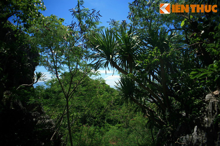 Bên cạnh vẻ đẹp cảnh quan, các ngọn núi ở Ngũ Hành Sơn còn có nhiều loại thảo mộc, phong lan rừng quý hiếm và quần thể động vật hoang dã phong phú.