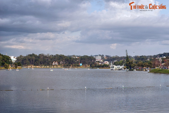 3. Nằm ở trung tâm Đà Lạt, hồ Xuân Hương là thắng cảnh nổi bật của thành phố nằm trên cao nguyên Lâm Viên.