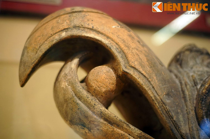 Mỏ chim dài và cong vút, bên trong ngậm ngọc.