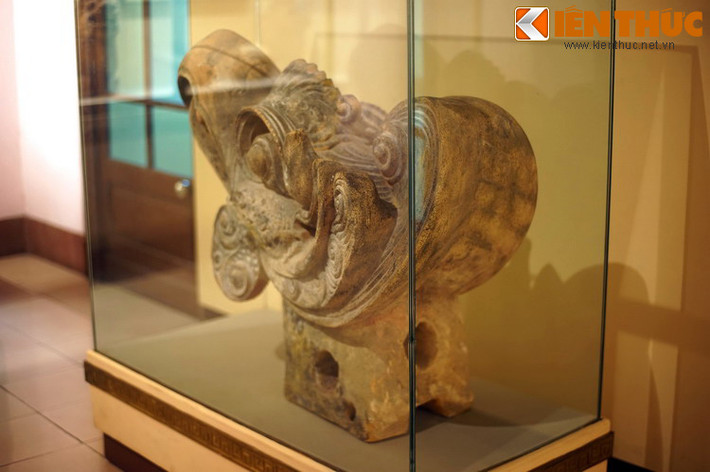 Mặt sau của đầu chim phượng hoàng.