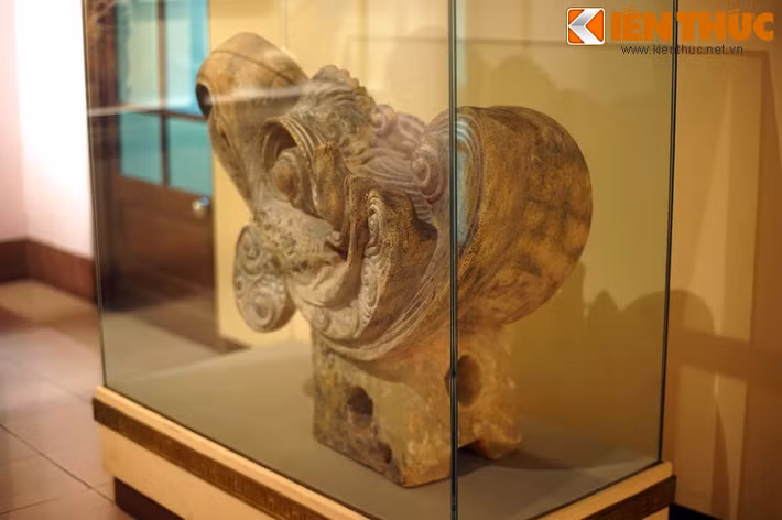 Mặt sau của đầu chim phượng hoàng.