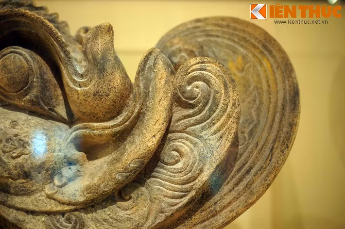 Sau đầu phượng có chỏm bờm kéo dài, uốn cong.