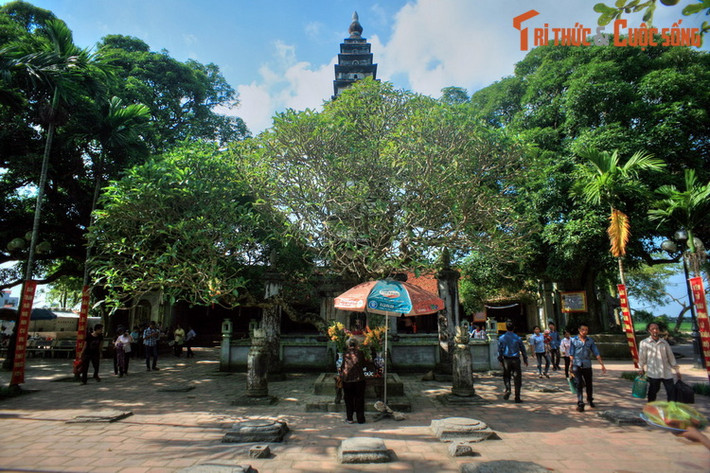 1. Chùa Phổ Minh. Nằm ở địa phận phường Lộc Vượng, thành phố Nam Định, Tỉnh Nam Định, chùa Phổ Minh hay chùa Tháp là một trong những di tích quan trọng còn lại của một thời Hào khí Đông A.