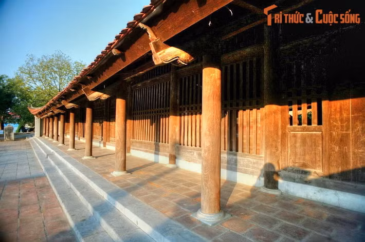 Vào năm 1313 dưới triều vua Trần Anh Tông, chùa Dâu được Lưỡng quốc trạng nguyên Mạc Đĩnh Chi dày công tu bổ thành chùa 100 gian, tháp 9 tầng, cầu 9 nhịp. Chùa tiếp tục được trùng tu nhiều lần qua các thế kỷ tiếp theo.