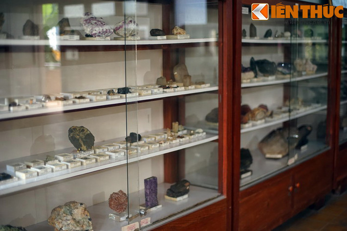 Hệ thống trưng bày của Bảo tàng địa chất chia thành các chuyên đề như địa chất, khoáng vật, cổ sinh, đá quý... Một phần lớn mẫu vật do người Pháp thu thập ở khu vực Đông Dương một thế kỷ trước, còn lại là các mẫu vật giai đoạn sau này.