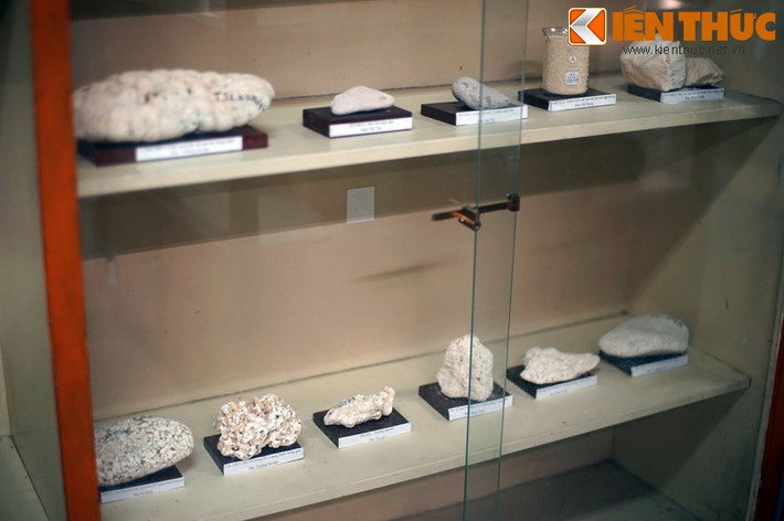 Bảo tàng dành riêng một gian để trưng bày các mẫu vật địa chất thu thập ở quần đảo Trường Sa, qua đó góp phần khẳng định chủ quyền với biển đảo thiêng liêng của Tổ quốc.