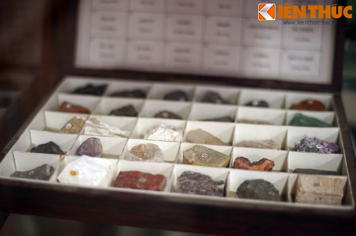 Ngắm nhìn những mẫu vật của Bảo tàng, du khách như lạc vào một thế giới khác để trôi theo dòng chảy tiến hóa địa chất của lãnh thổ Việt Nam từ hàng tỉ năm về trước cho đến nay.