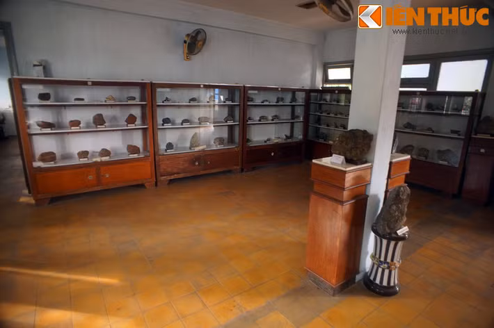 Bảo tàng Địa chất TP HCM mở cửa miễn phí cho du khách tham quan từ 8h đến 16h30 hàng ngày, trừ hai ngày cuối tuần.