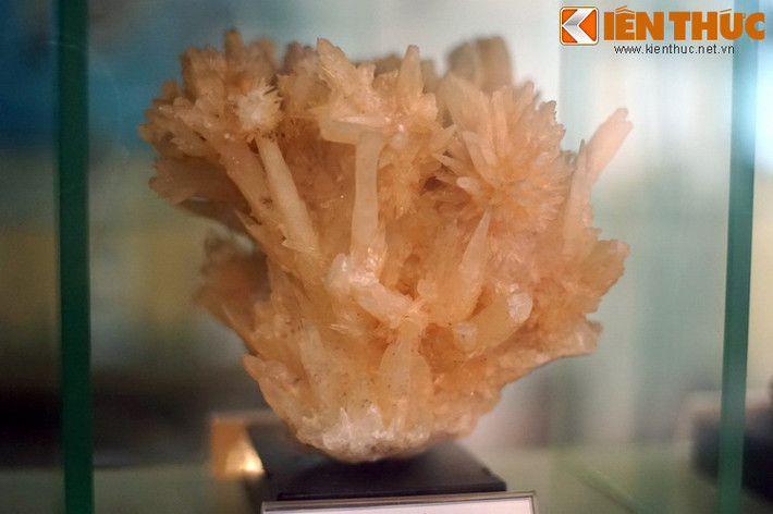 Trông như một tảng san hô được đưa lên từ lòng biển, nhưng khối aragonit phân nhánh lại là một tạo vật của lòng đất. Mẫu vật địa chất độc đáo này được tìm thấy ở Vĩnh Thịnh, Lạng Sơn năm 1975.