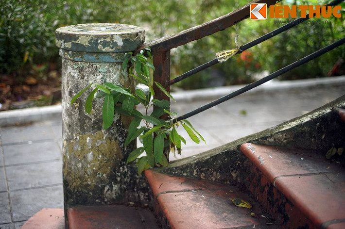 Đã có ý kiến đề xuất đập bỏ công trình đặc biệt này, trong khi nhiều người bày tỏ mong muốn cải tạo nó thành một không gian văn hóa xứng tầm với vẻ đẹp thơ mộng của hồ nước lớn nhất thủ đô...