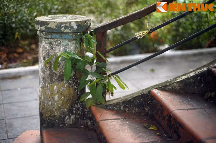 Đã có ý kiến đề xuất đập bỏ công trình đặc biệt này, trong khi nhiều người bày tỏ mong muốn cải tạo nó thành một không gian văn hóa xứng tầm với vẻ đẹp thơ mộng của hồ nước lớn nhất thủ đô...