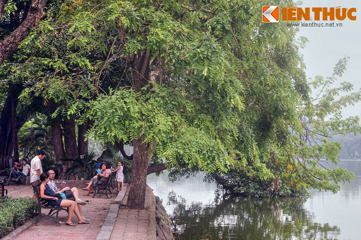 Dưới khung cảnh thơ mộng của những tán cây trùm lên mặt nước, nhiều câu tỏ tình đã được cất lên từ những trái tim rạo rực nhiệt huyết của tuổi trẻ.