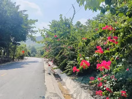 Dự án kè thôn Bầu Sang: Liên danh bỏ giá thấp kỷ lục, "ông lớn" xây lắp 778 có bị lép vế?