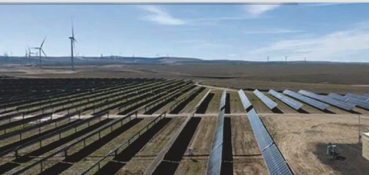 Hồ sơ đấu thầu Kỹ thuật Hải Anh 2025: Vì sao trượt 32/59 gói thầu năm 2025? [Kỳ 2]