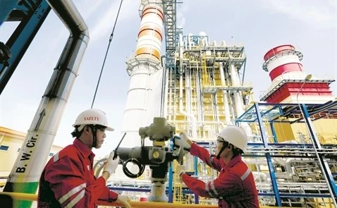 Đấu thầu tại Nhơn Trạch 2: Vì sao 3 đối thủ của Công ty TTN "ngã ngựa"?