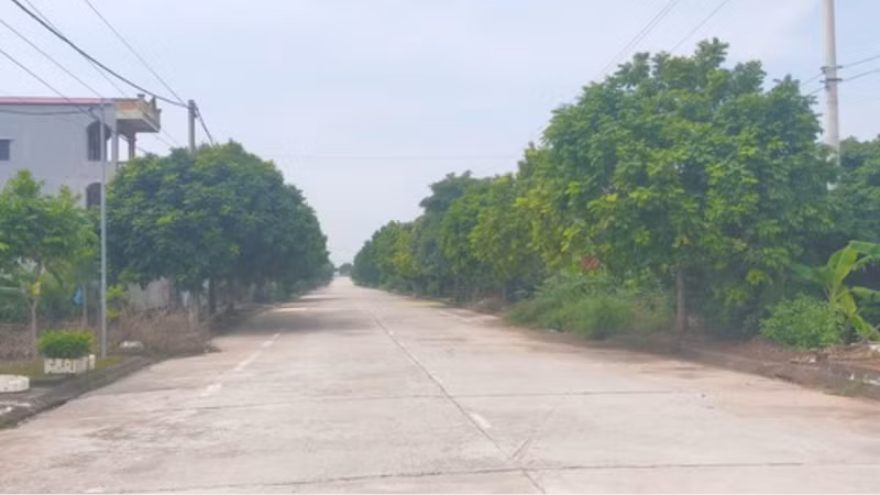 Vai trò của tư vấn Sam BT trong các gói thầu của Trường Vinh tại Lâm Đồng [Kỳ 2]