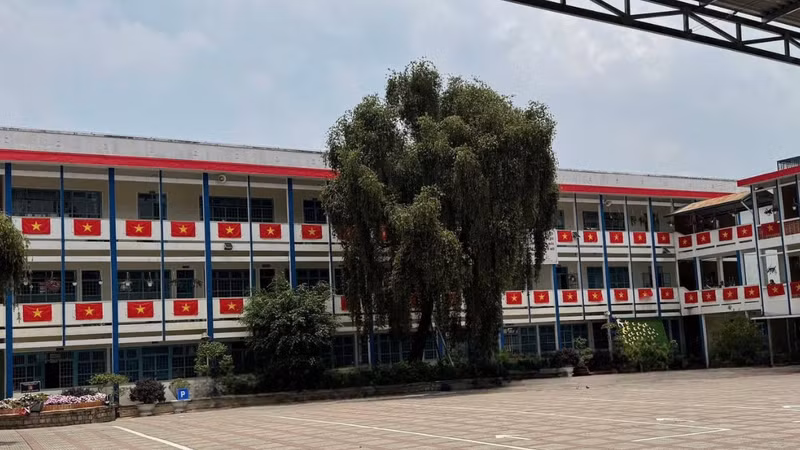 Lâm Đồng: Công ty Thi Trần trúng loạt gói thầu trường học với tỷ lệ tiết kiệm dưới 1% [Kỳ 1]
