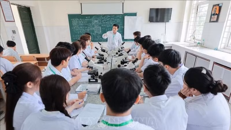 Bộ GD&ĐT dự thảo chuẩn mới cho giáo dục đại học, chuyển đổi số và tự chủ