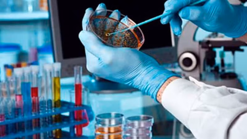 Học bổng cho sinh viên ngành STEM từ 3,5 đến 5,5 triệu đồng/tháng năm 2025