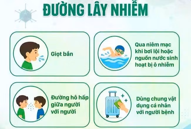 Nguy cơ lây lan Adenovirus: Bể bơi và môi trường ô nhiễm đe dọa trẻ nhỏ