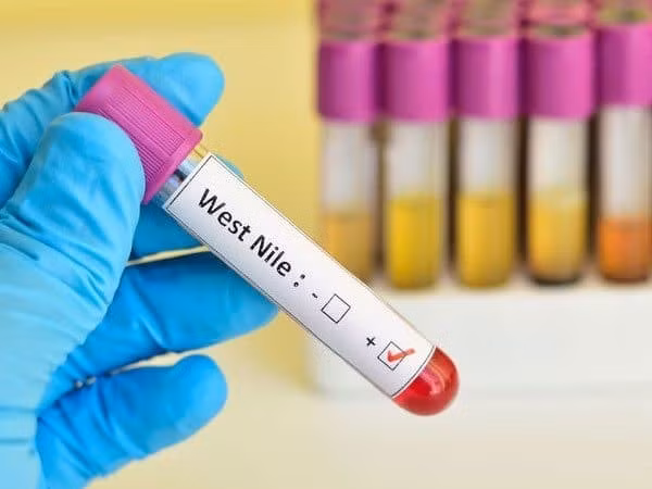 WHO cảnh báo tăng ca nhiễm virus Tây sông Nile ở châu Âu