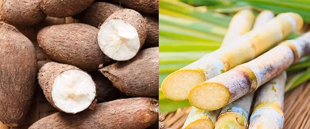 Cảnh báo về mì chính sang chiết: Nguy cơ mất an toàn thực phẩm