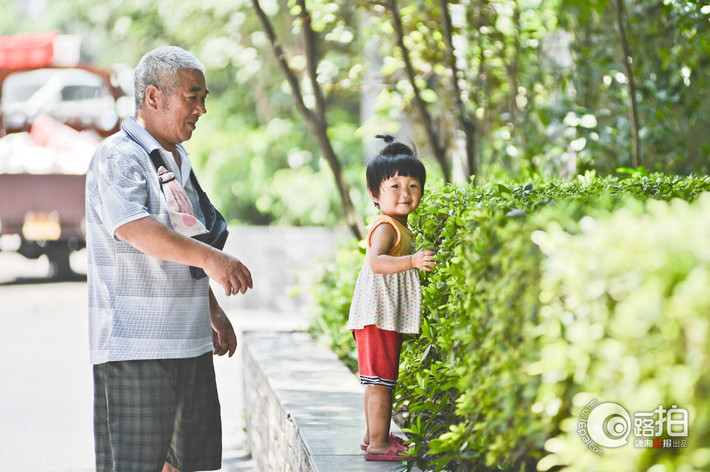 Shu rất vui và chạy tung tăng khi được ông cởi dây và cho đi chơi.