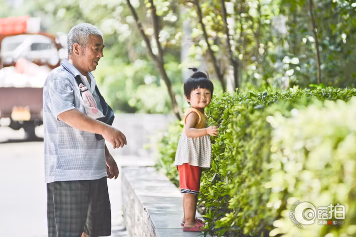 Shu rất vui và chạy tung tăng khi được ông cởi dây và cho đi chơi.