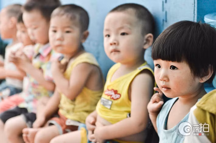 Shu bỡ ngỡ với môi trường mới..