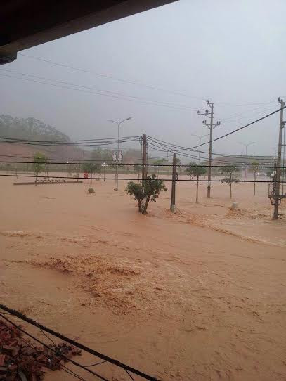 Nguyên nhân của trận lũ được xác định là do trận mưa to đêm qua, 29/10 và sáng nay. Đập Long Châu Hà - con đập cung cấp nước tưới tiêu cho cả huyện Đầm Hà - đã vượt quá mực nước báo động. Một số đoạn thân đập có dấu hiệu rạn nứt và đang được các lực lượng chức năng gia cố.