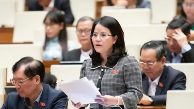  Khi xây sân bay Gia Bình, cần giữ tính lịch sử vốn có của di tích