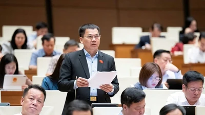 Bảo đảm phản ứng nhanh, tránh chồng chéo trong tình trạng khẩn cấp