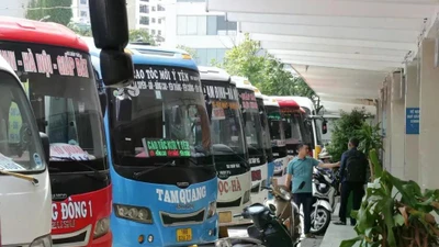 Do giá dầu tăng đột biến, ngành vận tải phải đối mặt với nhiều giải pháp tạm thời