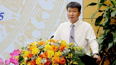 Thủ tướng phê chuẩn kết quả bầu, miễn nhiệm nhân sự ở TPHCM, Ninh Bình