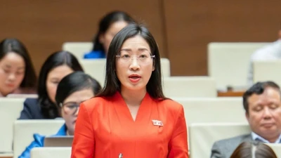 Đề nghị làm rõ trách nhiệm liên đới của người livestream