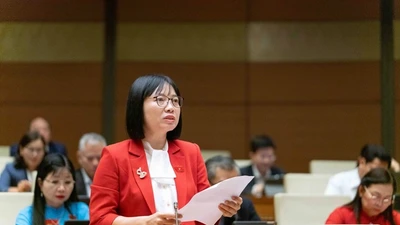 Đại biểu kiến nghị quy định chặt, ngăn viên chức 'chân trong chân ngoài'