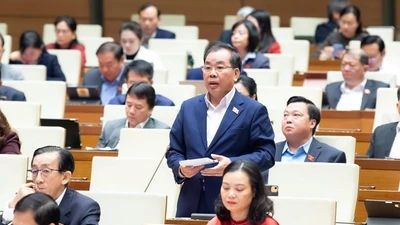 Đề xuất bỏ mô hình đại học vùng để nâng cao hiệu quả giáo dục