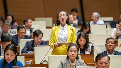 Đất hiếm là nhóm tài nguyên có hệ số rủi ro môi trường rất lớn