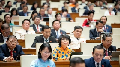 Những băn khoăn của cử tri về kinh tế, an ninh và môi trường Việt Nam
