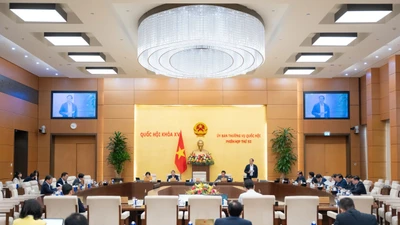 Cử tri bày tỏ lo ngại về lừa đảo, ô nhiễm và giá cả tại kỳ họp Quốc hội