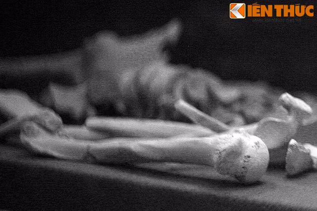 Bang hoang mot bo hai cot khong nguyen ven trong Bao tang Can Tho-Hinh-6