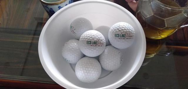 'Mua bong golf' bay vao nha dan canh chung cu Eco Lake View-Hinh-4