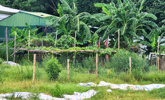 Dự án 'đất vàng' của Tổng Công ty Việt Lào bỏ hoang ở Vinh - Hình 2 Du an 'dat vang' cua Tong Cong ty Viet Lao bo hoang o Vinh-Hinh-2