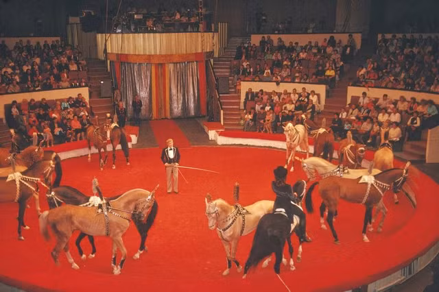 Cach thu gian cua nguoi Ukraine nhung nam 1980-Hinh-7