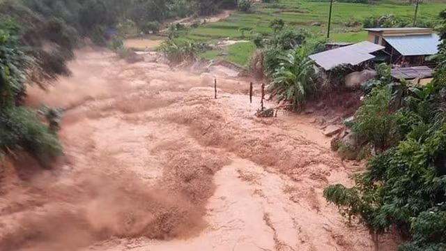 Nguoi dan ong du tren ngon cay giua dong nuoc lu chay xiet o Thanh Hoa-Hinh-2