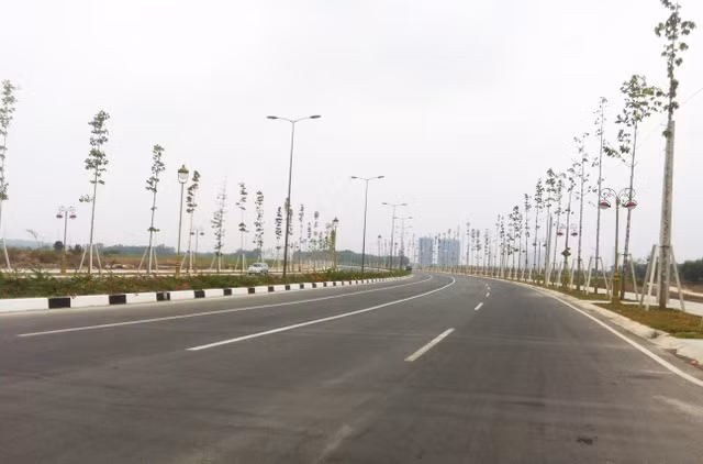 Vi sao Cong ty Xay dung Van Phon bi cam thau 4 nam?-Hinh-2