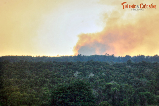 Lạc lối ở khu rừng đầm lầy than bùn có một không hai ở Việt Nam - Hình 10 Lac loi o khu rung dam lay than bun co mot khong hai o Viet Nam-Hinh-10