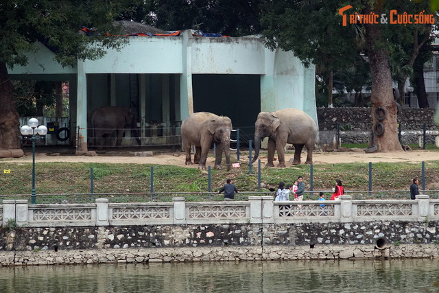 He lo “bi mat lich su” thu vi cua Cong vien Thu Le Ha Noi-Hinh-4
